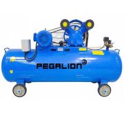 Máy nén khí Pegalion TM-W-1.0/8-500L (10HP)