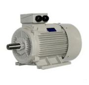 Motor điện chân đế DAGER 2 Poles/4 Poles